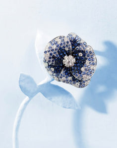 FLORA