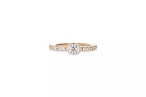 Extensible Rings