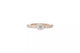 Extensible Rings