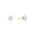 Anniversary Six - Earrings