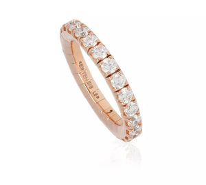 Extensible Rings