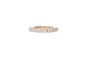 Extensible Rings