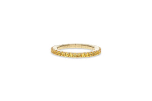 Extensible Rings