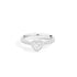 Anniversary Halo - Rings