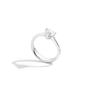 Anniversary Love - Rings
