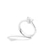 Anniversary Love - Rings