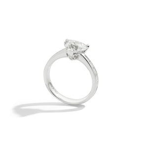 Anniversary Love - Rings