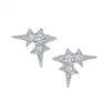 Platinum Diamond Frost Earrings