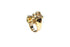 FX 6037: Ring