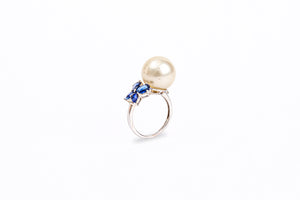 FX01498: Ring collection
