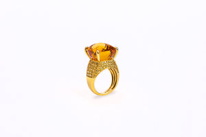 FX9177: Ring collection